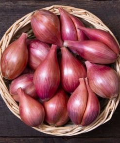 Premium Red Shallots with Superior Flavor and Versatility